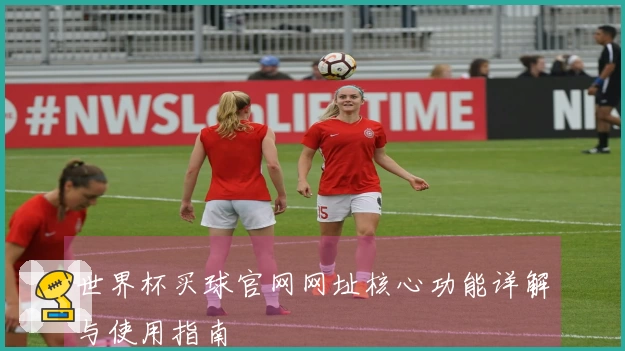 世界杯买球官网网址核心功能详解与使用指南