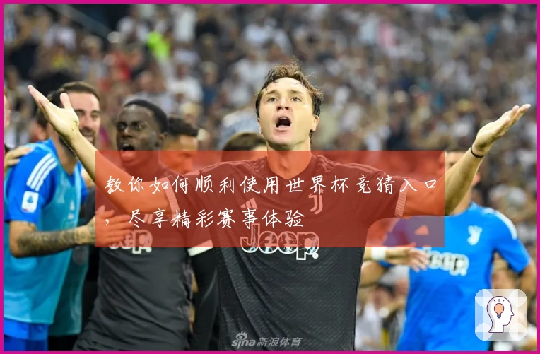 教你如何顺利使用世界杯竞猜入口，尽享精彩赛事体验