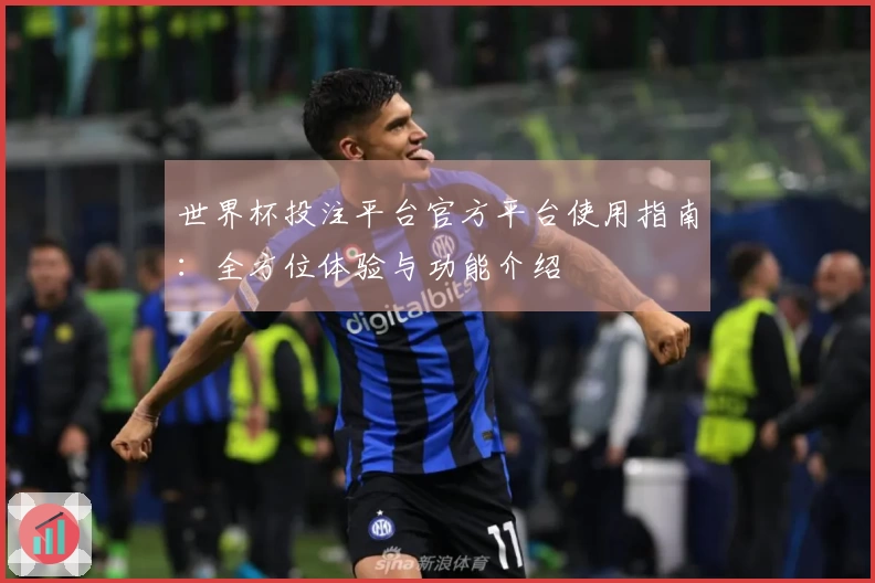世界杯投注平台官方平台使用指南：全方位体验与功能介绍