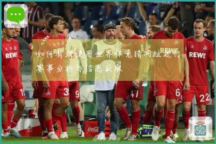 如何有效使用世界杯竞猜网址进行赛事分析与信息获取